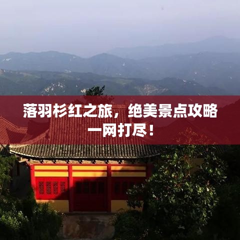 落羽杉红之旅，绝美景点攻略一网打尽！