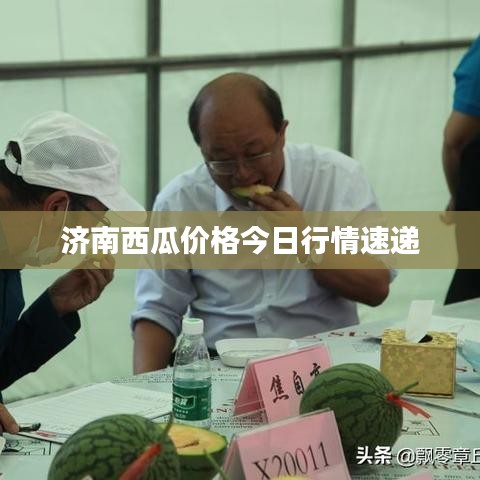 济南西瓜价格今日行情速递