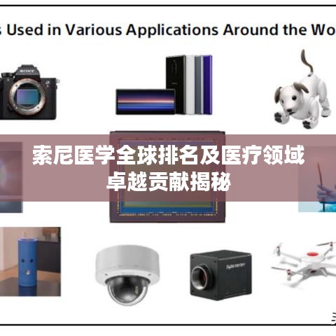 索尼医学全球排名及医疗领域卓越贡献揭秘