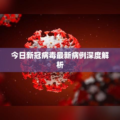 今日新冠病毒最新病例深度解析