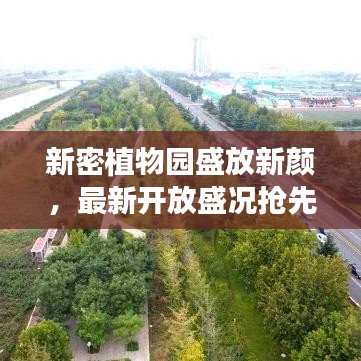 新密植物园盛放新颜，最新开放盛况抢先看