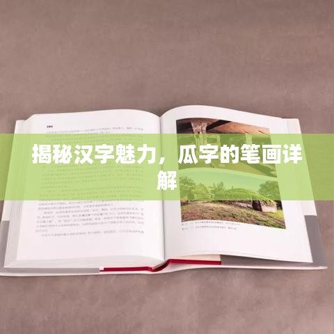 揭秘汉字魅力，瓜字的笔画详解