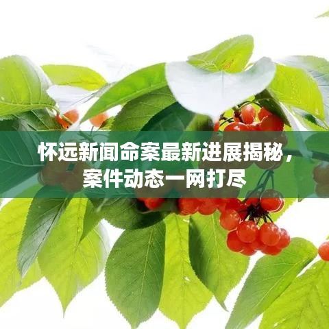 怀远新闻命案最新进展揭秘，案件动态一网打尽