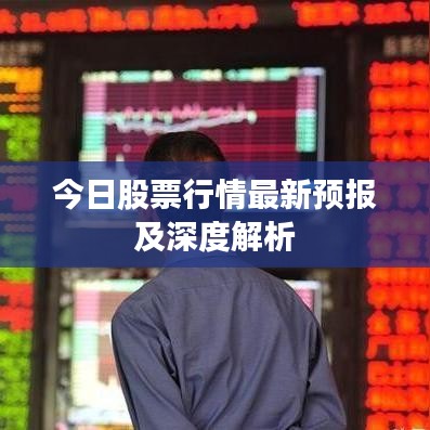 今日股票行情最新预报及深度解析