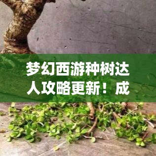梦幻西游种树达人攻略更新！成为种树界的翘楚秘籍揭秘