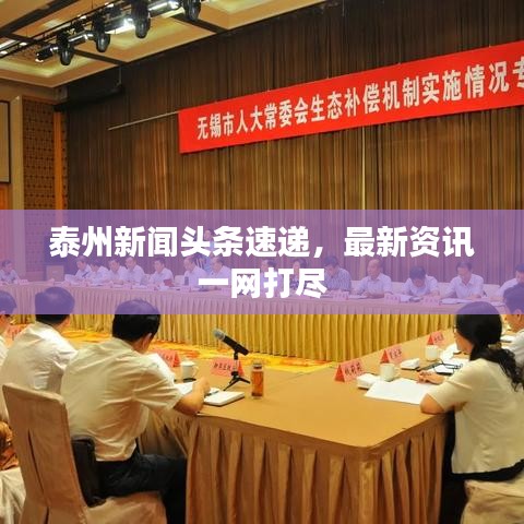 泰州新闻头条速递，最新资讯一网打尽