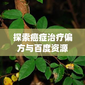探索癌症治疗偏方与百度资源