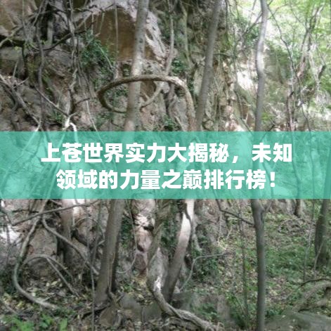 上苍世界实力大揭秘，未知领域的力量之巅排行榜！