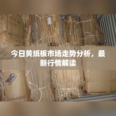今日黄纸板市场走势分析，最新行情解读