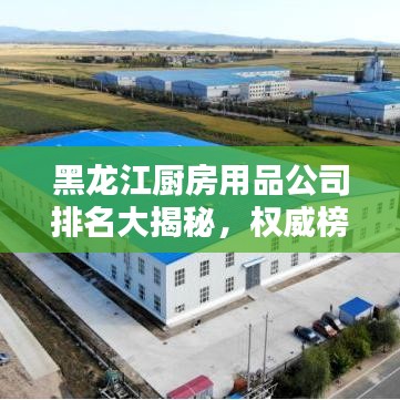 黑龙江厨房用品公司排名大揭秘，权威榜单，不容错过！