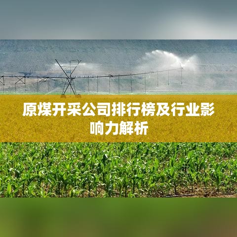 原煤开采公司排行榜及行业影响力解析