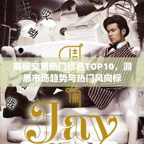 商标交易热门排名TOP10，洞悉市场趋势与热门风向标