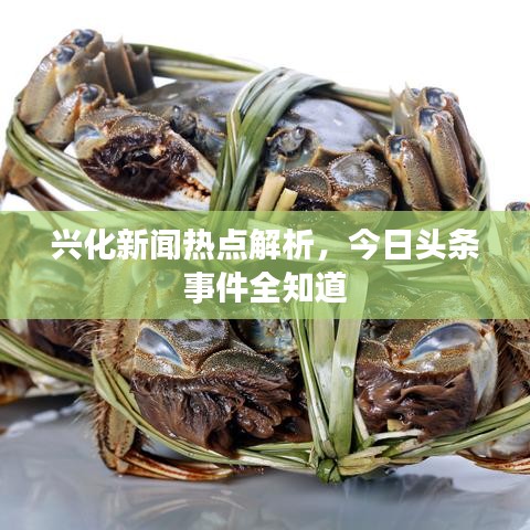 兴化新闻热点解析，今日头条事件全知道