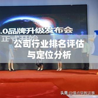 公司行业排名评估与定位分析