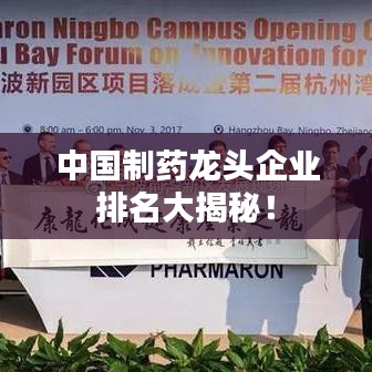 中国制药龙头企业排名大揭秘！