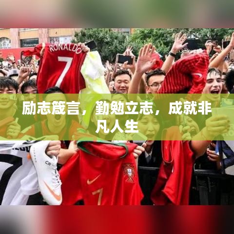 2025年6月11日