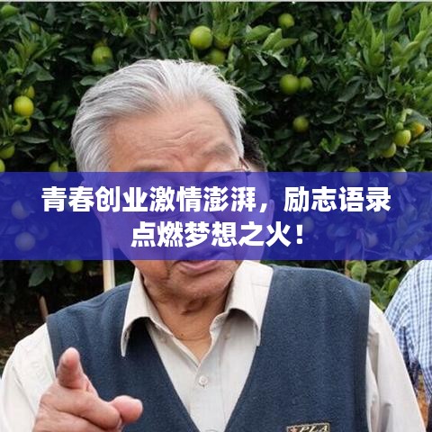 青春创业激情澎湃，励志语录点燃梦想之火！