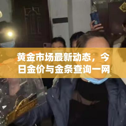黄金市场最新动态，今日金价与金条查询一网打尽！