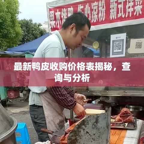 最新鸭皮收购价格表揭秘，查询与分析