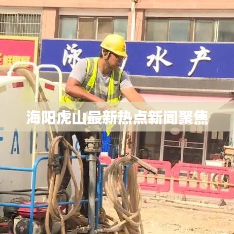 海阳虎山最新热点新闻聚焦