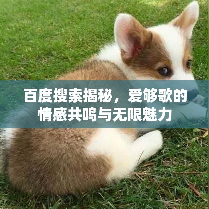 百度搜索揭秘，爱够歌的情感共鸣与无限魅力