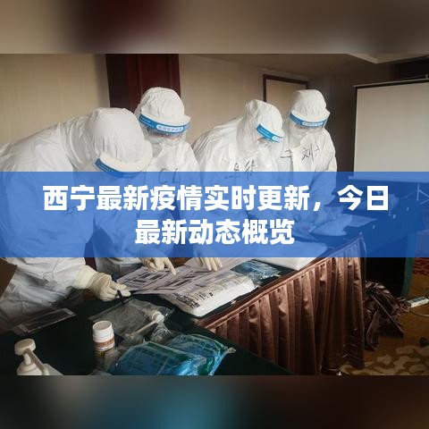西宁最新疫情实时更新，今日最新动态概览
