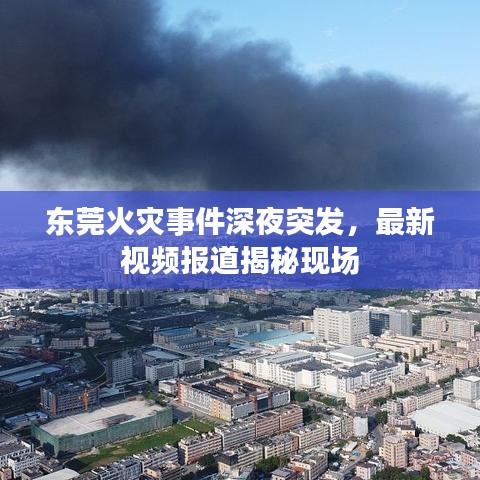 东莞火灾事件深夜突发，最新视频报道揭秘现场