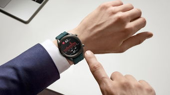 UC版本，全面实施数据策略_watchOS_v1.141，免费软件的力量与价值
