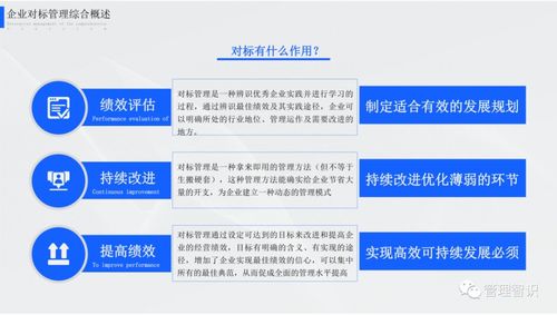 步步王官方下载,实践验证解释定义_P版_v4.765