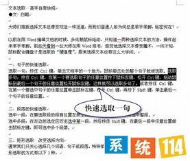 森林最新版本，最佳选择解析说明_尊贵版_v8.128，轻量级软件的效率与流畅体验