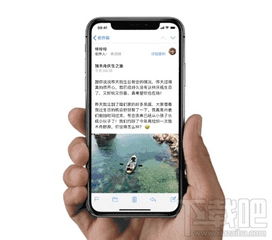 苹果时代下的经典软件兴衰史，回顾与反思