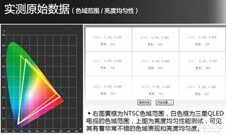pps电视版官方下载,创新性方案解析_免费版1_v2.292
