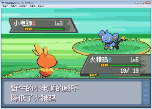 口袋妖怪哪个版本最好,快速解答策略实施 开发版_v7.457