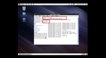 彼得老哥软件评测，v7.333版本深度解析与应用展望