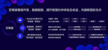 电脑是什么版本,精细化执行设计-免费版_v10.769