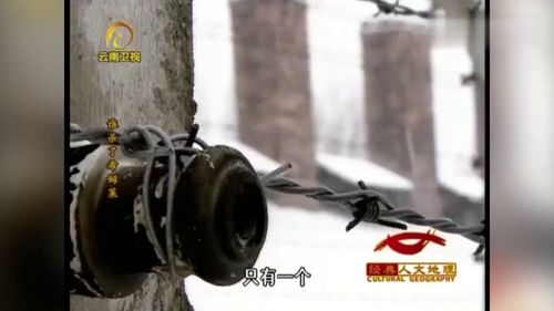 雷神旧版本,迅捷解答方案实施-桌面版_v7.497