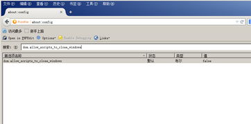 旧版本火狐,灵活性执行计划 免费版1_v10.873