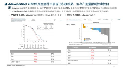 喜马拉雅历史版本,实地评估解析数据&amp;限量款_v3.964