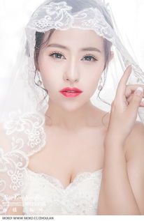 文明那个版本,动态解读说明&amp;S1_v10.685