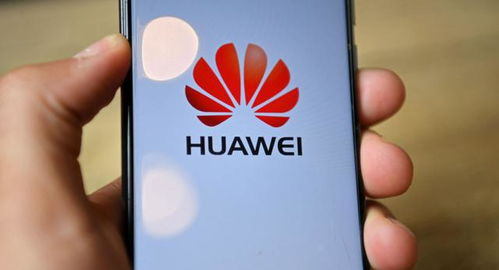 华为4x最新系统版本,实地数据评估策略-pack_v5.481