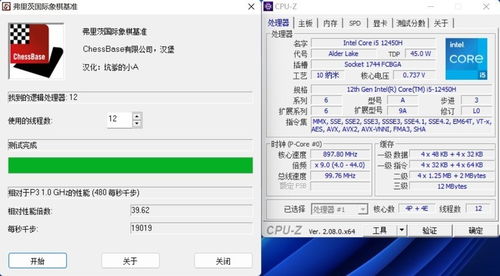 办公软件双版本锁，广泛方法解析说明_Tizen_v1.320，提升个人与团队效率的关键工具