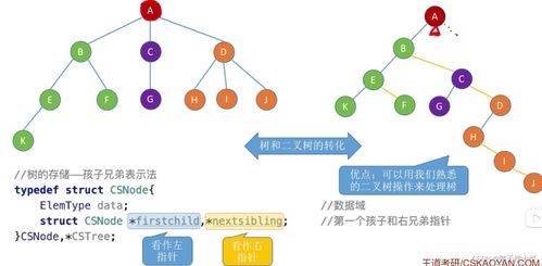 下载宝宝孕育树官方,全面数据解析说明 增强版1_v7.267