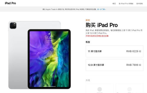 ipad官方下载,长期性计划定义分析-3K_v5.817