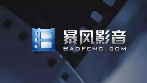 暴风电脑版官方下载,深层数据应用执行 挑战版_v7.440
