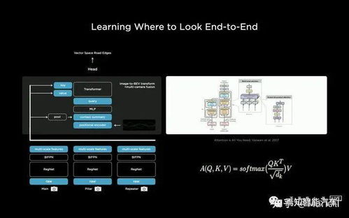 yy书屋官方下载,互动性策略解析_Nexus_v7.804