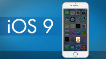 ios开发版本更新，专业分析解析说明_苹果款_v4.204——轻量级软件体验介绍