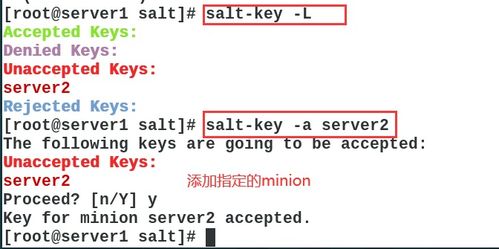 我的使命版本,收益解析说明 PT_v2.298