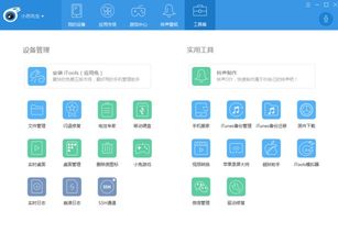 wps官方下载,全面执行分析数据 LE版_v5.411