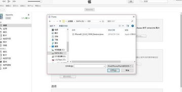 苹果怎么降级系统版本,最新方案解析&amp;WP1_v4.459