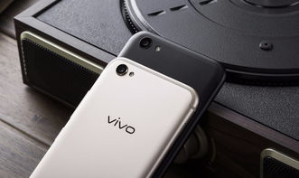 vivo手机版本,实时信息解析说明 Premium_v3.896
